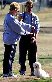 Two men and a dog are standing in the grass.