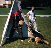 Two men and a dog are playing with an object.