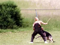 A man and his dog playing baseball in the grass.
