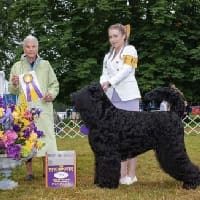 A woman and her dog are standing in front of the judges.
