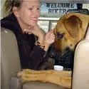 A woman sitting in the back of a car with her dog.