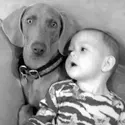 A dog and a baby are sitting together.