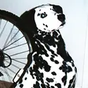 A dalmatian dog sitting next to a bicycle tire.