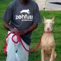 A man holding onto a red leash while standing next to a dog.